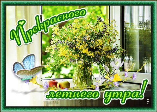 С добрым летним утром воскресенья