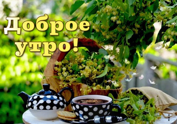 Открытки с добрым утром воскресенья