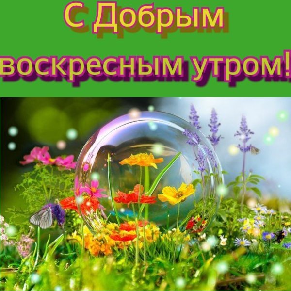 С добрым воскресным утром