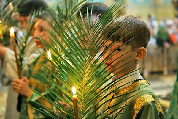 Пальмовая ветвь Иерусалим
