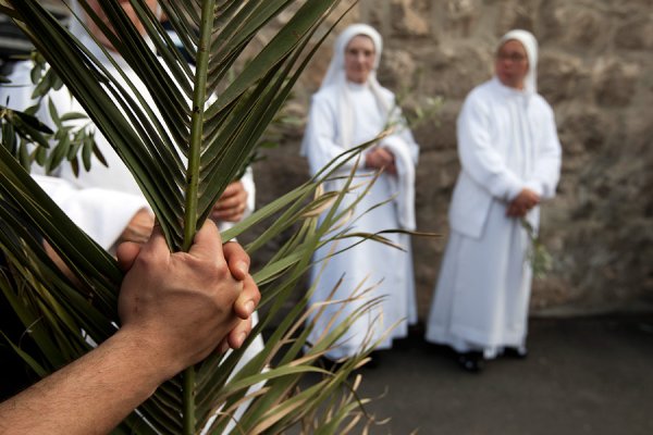Пальмовая ветвь Иерусалим