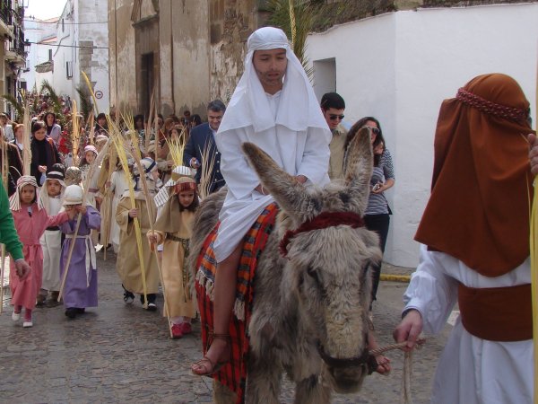 Пальмовое воскресенье у католиков