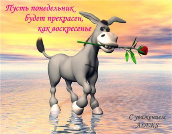 Хорошего трудового дня в картинках прикольные