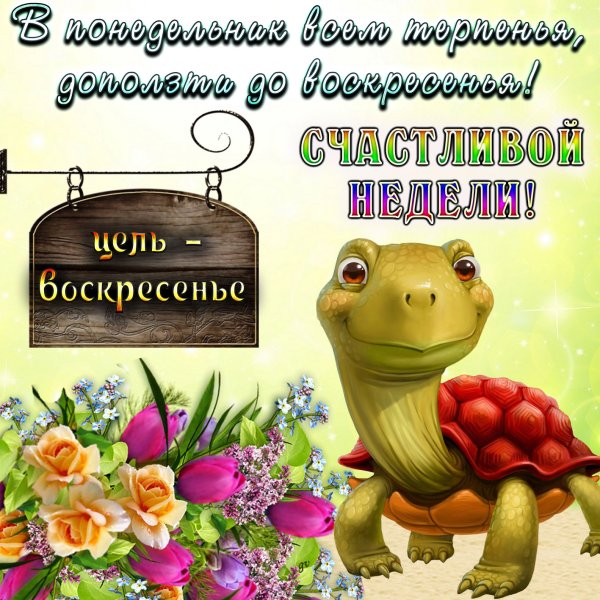 Веселые пожелания на понедельник