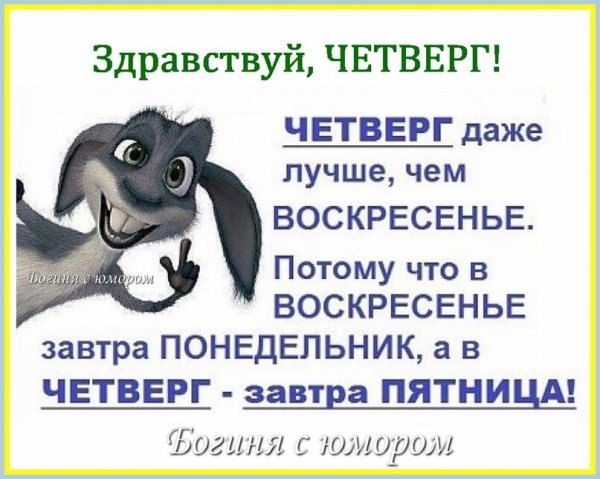 Смешные фразы про четверг