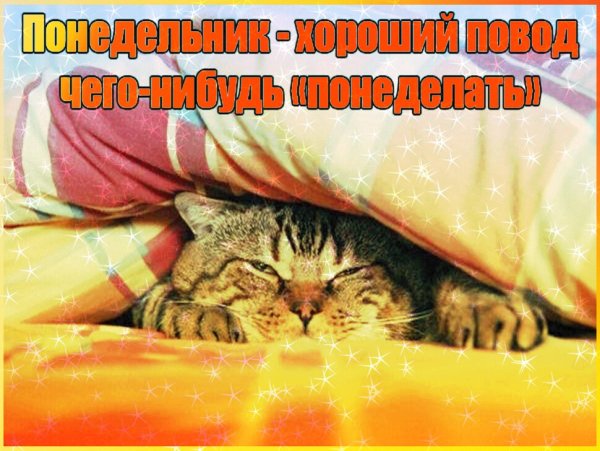 С добрым утром понедельника