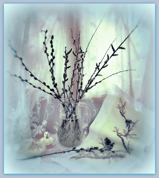 Верба на Вербное воскресенье