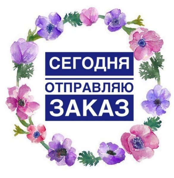 Сегодня отпавдяю щмказы