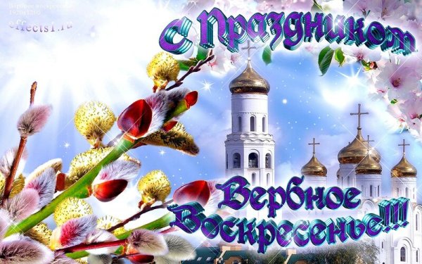 С Вербным воскресеньем открытки