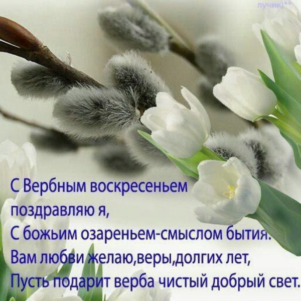 Поздравить с Вербным воскресеньем