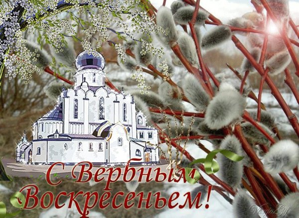 Поздравление с Вербным воскресеньем открытки
