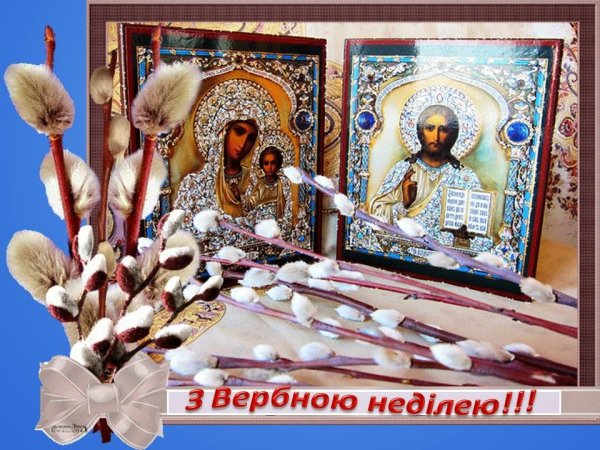 Веточка вербы Вербная неделя