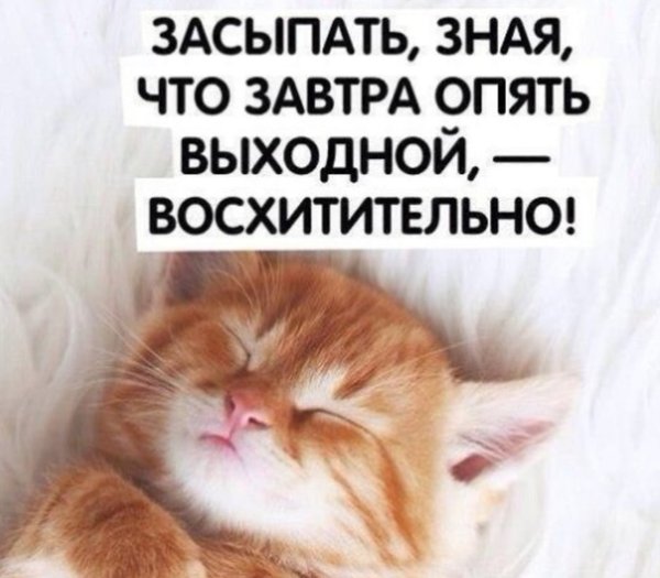 Завтра выходной