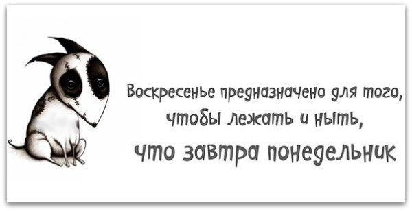 Воскресенье завтра на работу прикольные