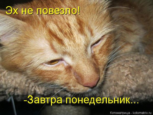Завтра понедельник