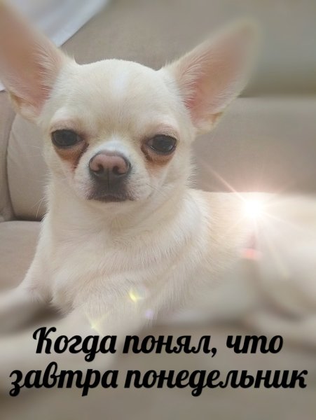 Завтра понедельник картинки
