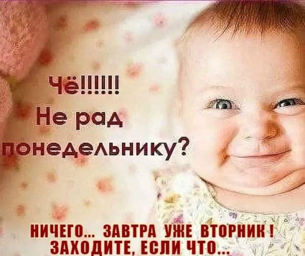 Смешные картинки про понедельник
