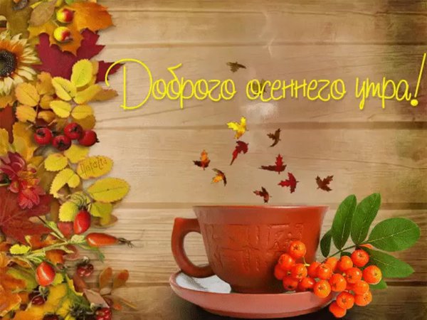 Доброго осеннего утра и хорошего дня