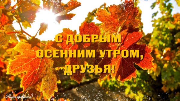 Осеннее Воскресное утро