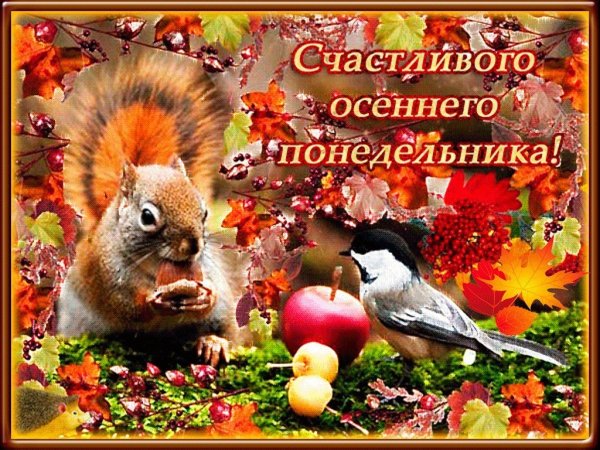 Со счастливым понедельником осени