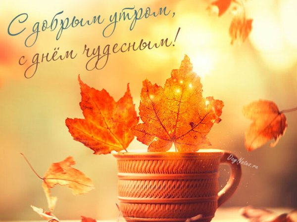 Чудесного осеннего дня