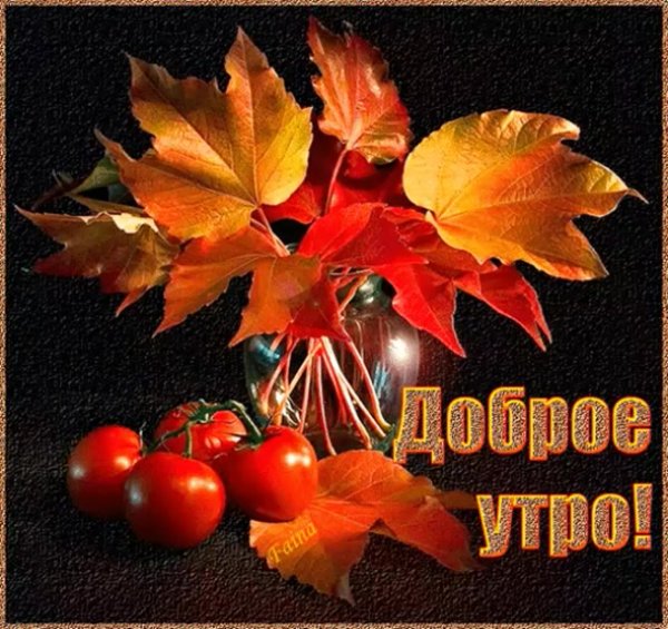Доброго осеннего вюдня