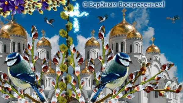 С праздником Вербное