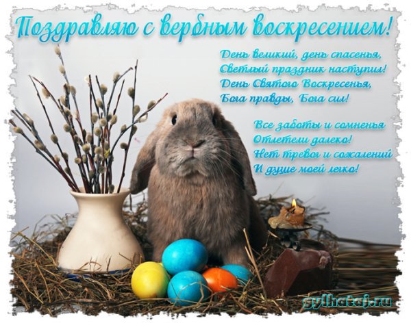 Открытки с Вербным воскресеньем с кроликом