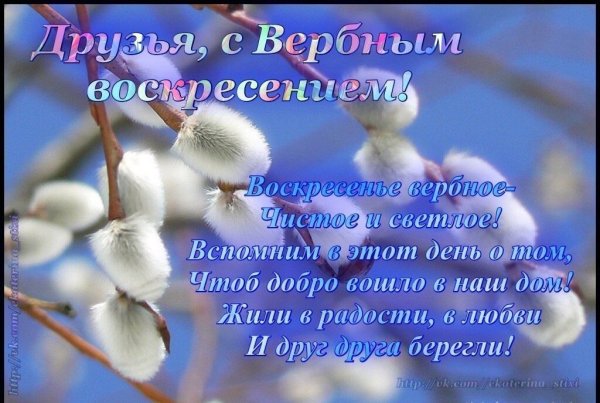 С Вербным воскресеньем друзья поздравления