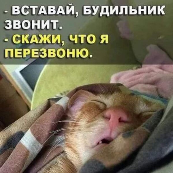 Позитивного дня и хорошего настроения