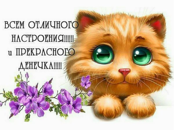 Позитивные открытки для поднятия настроения