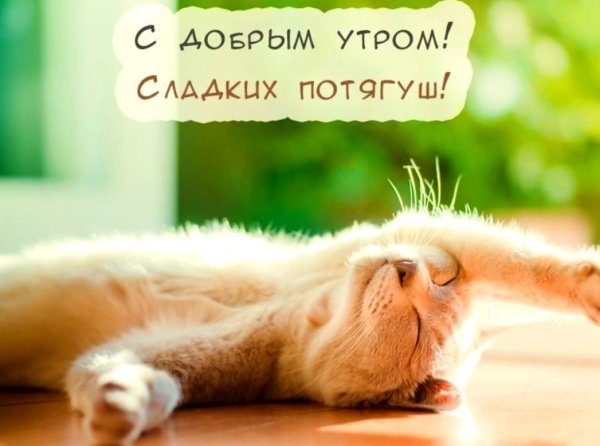 Смешные фразы про четверг
