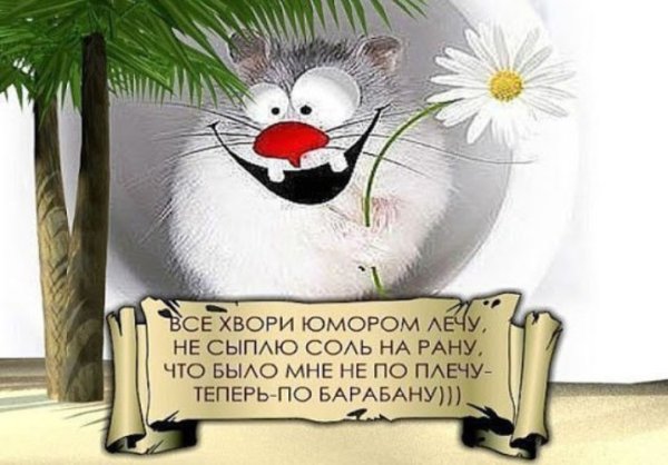 Позитивные надписи для поднятия настроения
