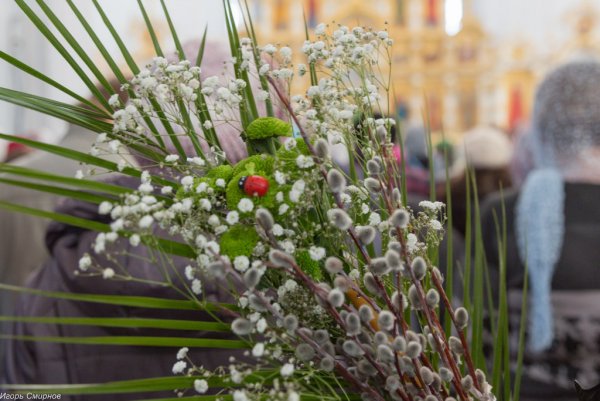 Букет "Вербное воскресенье"