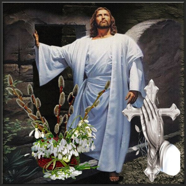 Джотто вход Господень в Иерусалим