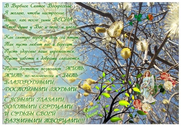 Весна Верба