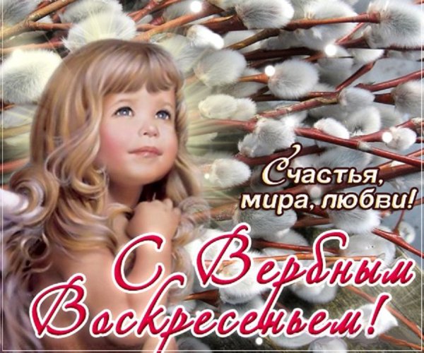 С Вербным воскресеньем открытки