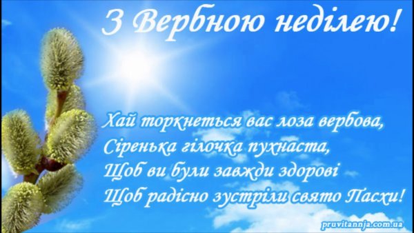 С Вербным воскресеньем красивые