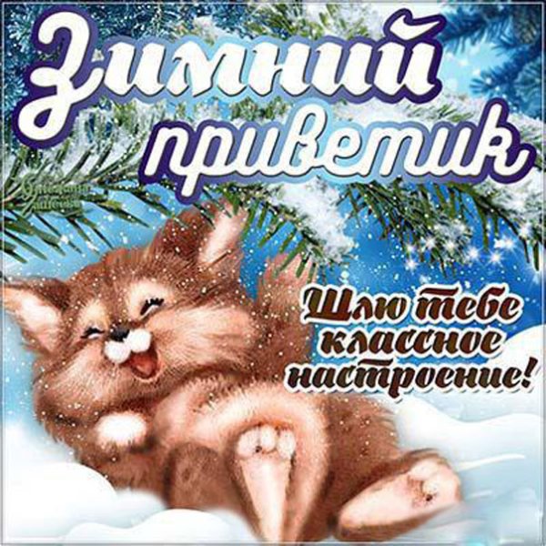 Зимний привет