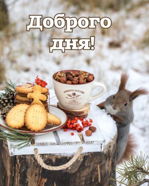 Хорошего дня Белочка