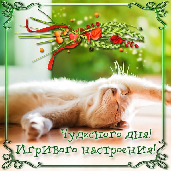 С добрым утром для поднятия настроения