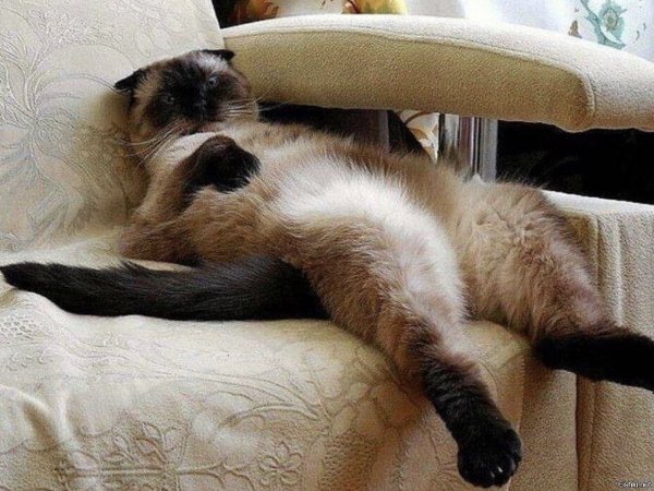 Доброе утро зима прикольные