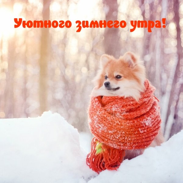 Доброе утро зима