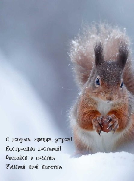Уютного зимнего вечера с пожеланиями