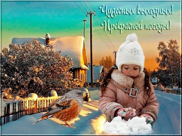 Доброе утро животные Весна