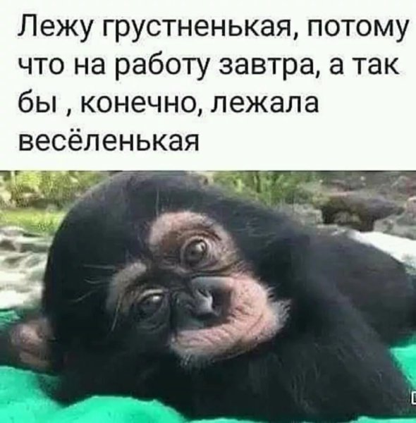 Завтра на работу