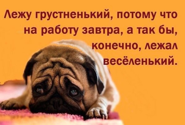 Лежу грустненький потому что завтра на работу