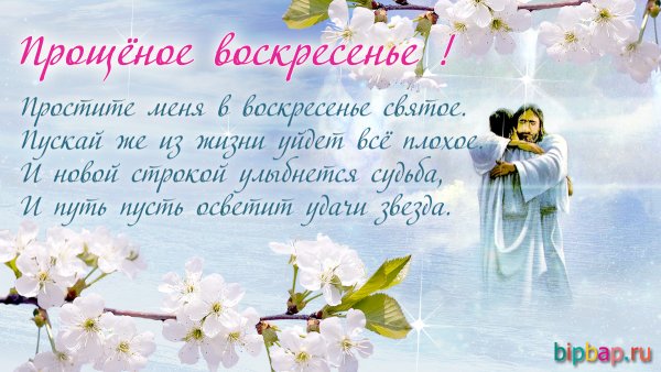 Стихи о прощении