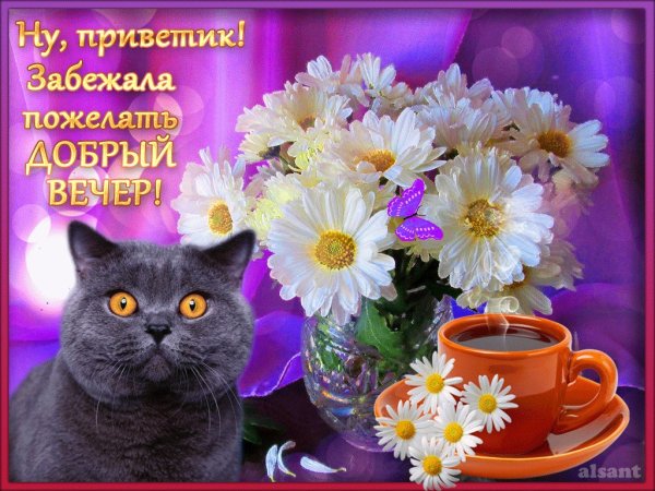 Открытки добрый вечер