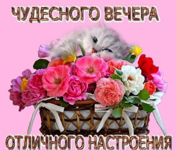 Доброго вечера и хорошего настроения